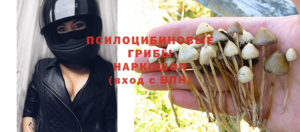 герыч Богородск