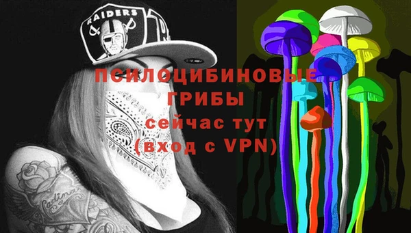 метадон Богданович