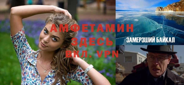 метадон Богданович