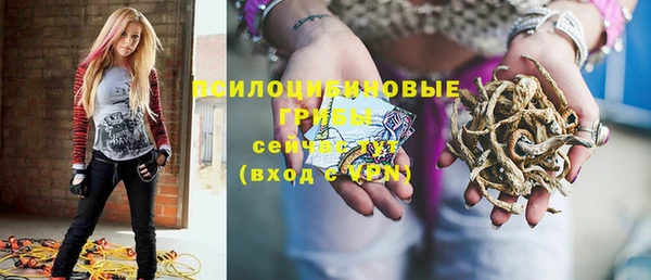 метадон Богородицк